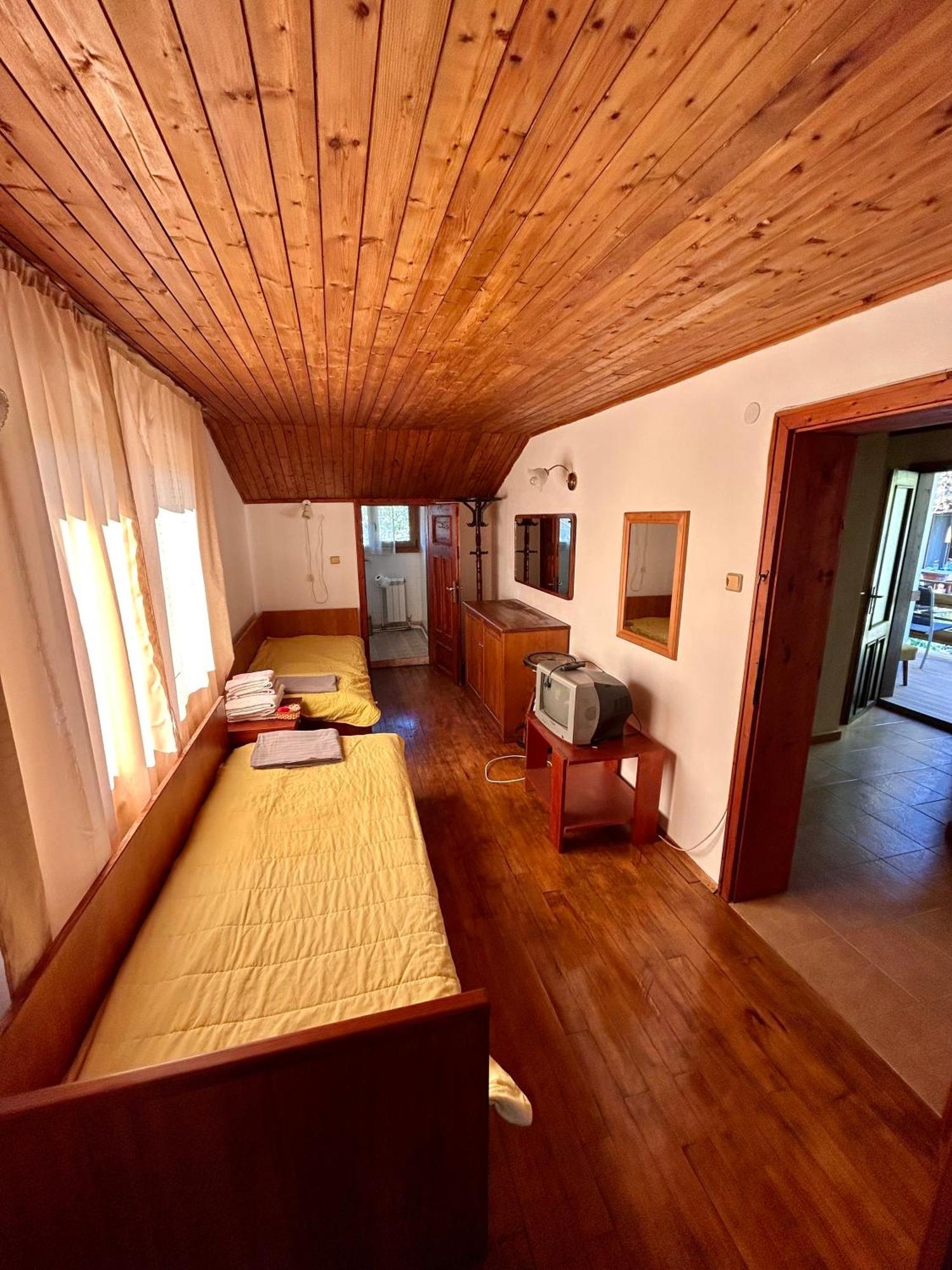 Luylyana Guesthouse Ribarița Exterior foto