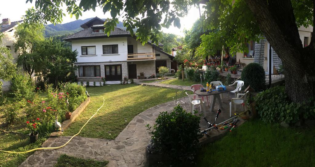 Luylyana Guesthouse Ribarița Exterior foto