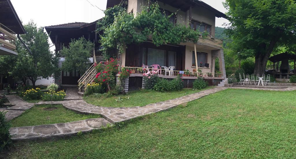 Luylyana Guesthouse Ribarița Exterior foto