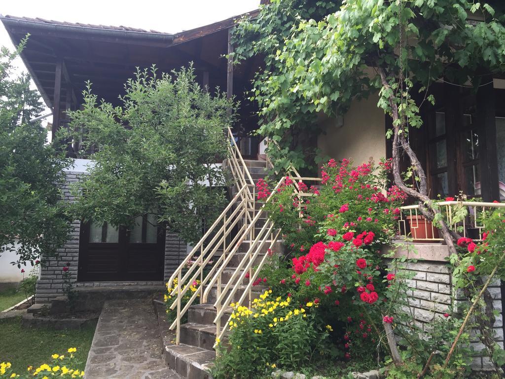 Luylyana Guesthouse Ribarița Exterior foto