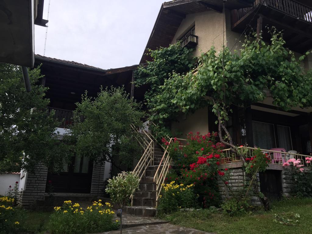 Luylyana Guesthouse Ribarița Exterior foto
