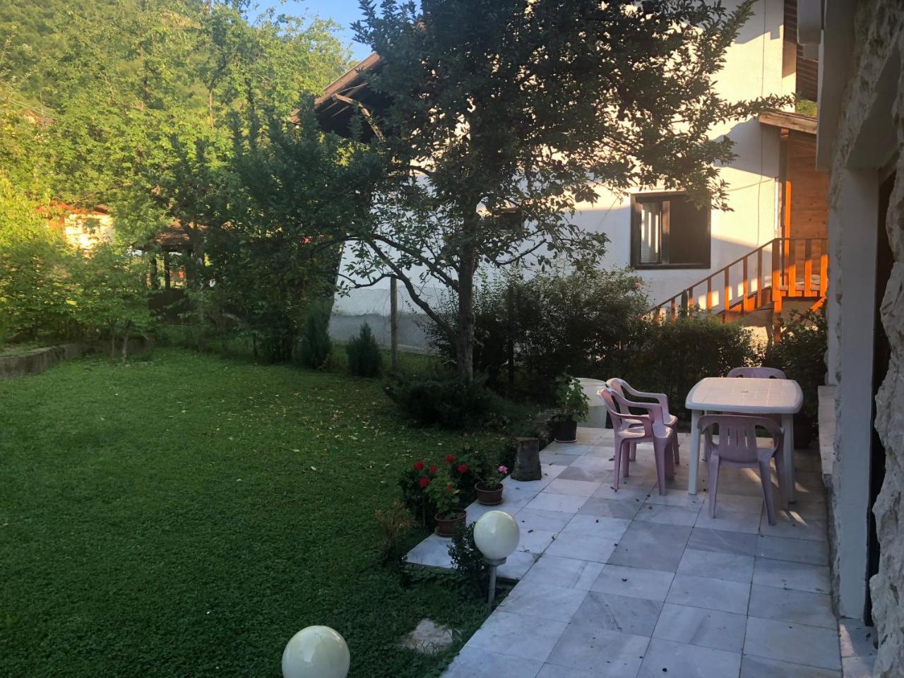 Luylyana Guesthouse Ribarița Exterior foto