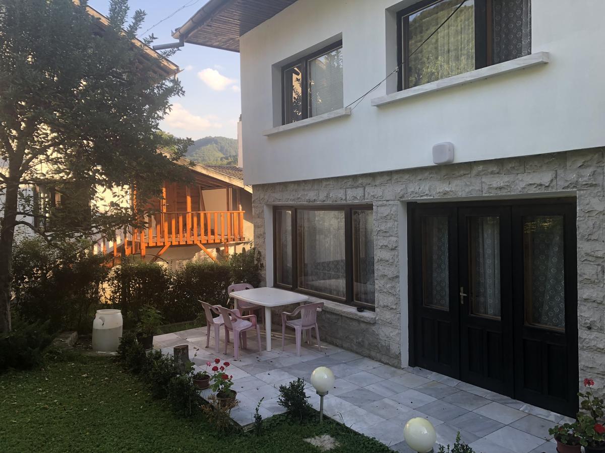 Luylyana Guesthouse Ribarița Exterior foto