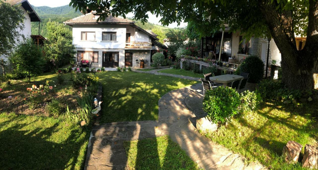 Luylyana Guesthouse Ribarița Exterior foto