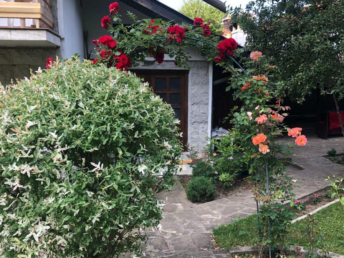 Luylyana Guesthouse Ribarița Exterior foto
