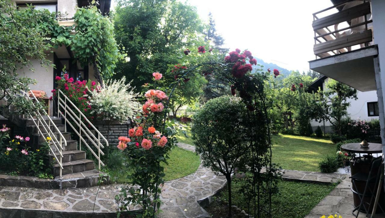 Luylyana Guesthouse Ribarița Exterior foto